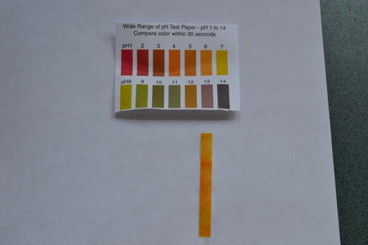 pH strip showing 6.0 